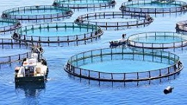Agricultural Engineering and Fisheries Technology