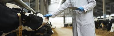 Animal/ Food Science Technology