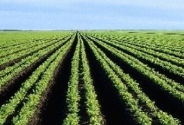 Crop/Soil Science Technology