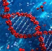 Medical Biochemistry